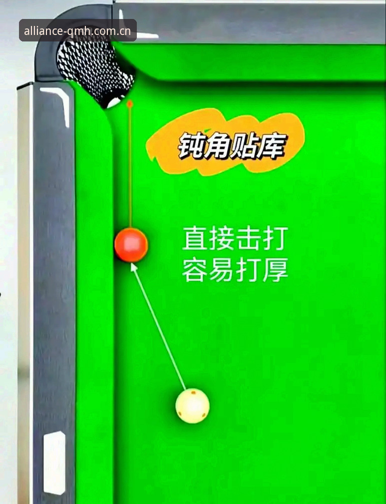 球盟会平台新手使用教程：从下载到实战的完整操作指南
